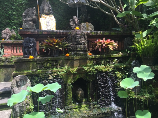 Ubud last gasp