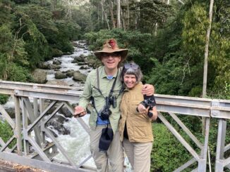 Birding in Boquete